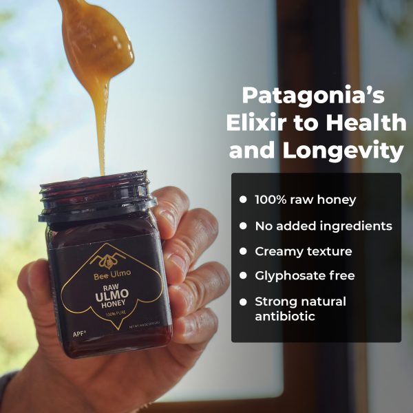 Bee Ulmo Raw Honey Certified APF 200+ - Image 4