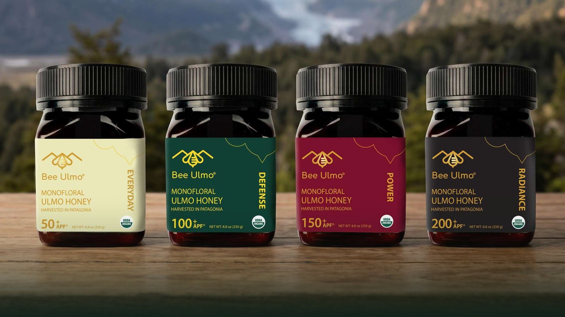 Bee Ulmo APF Collection: EVERYDAY 50+, DEFENSE 100+, POWER 150+ and RADIANCE 200+ organic Ulmo honey jars in Patagonia