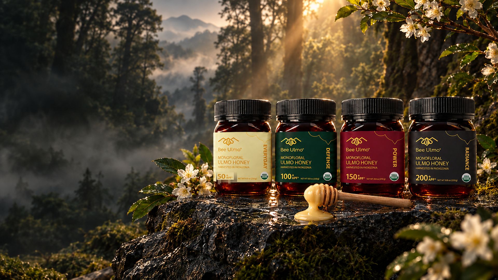 Bee Ulmo APF Collection in the forests of Chilean Patagonia